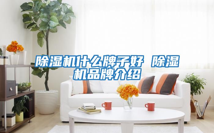 除湿机什么牌子好 除湿机品牌介绍