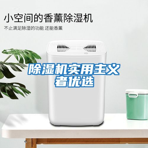 除湿机实用主义者优选