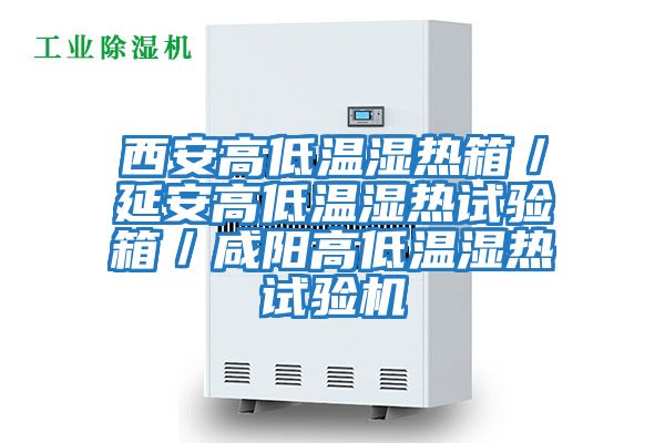 西安高低温湿热箱／延安高低温湿热试验箱／咸阳高低温湿热试验机