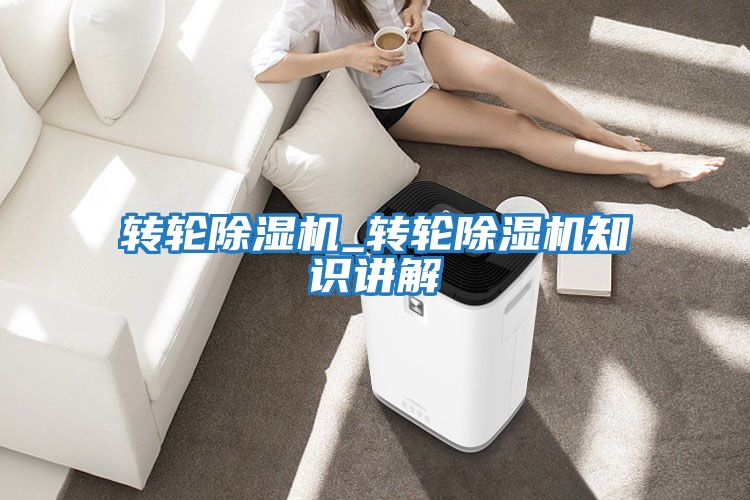 转轮除湿机_转轮除湿机知识讲解