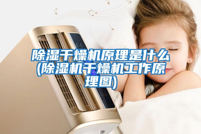 除湿干燥机原理是什么(除湿机干燥机工作原理图)