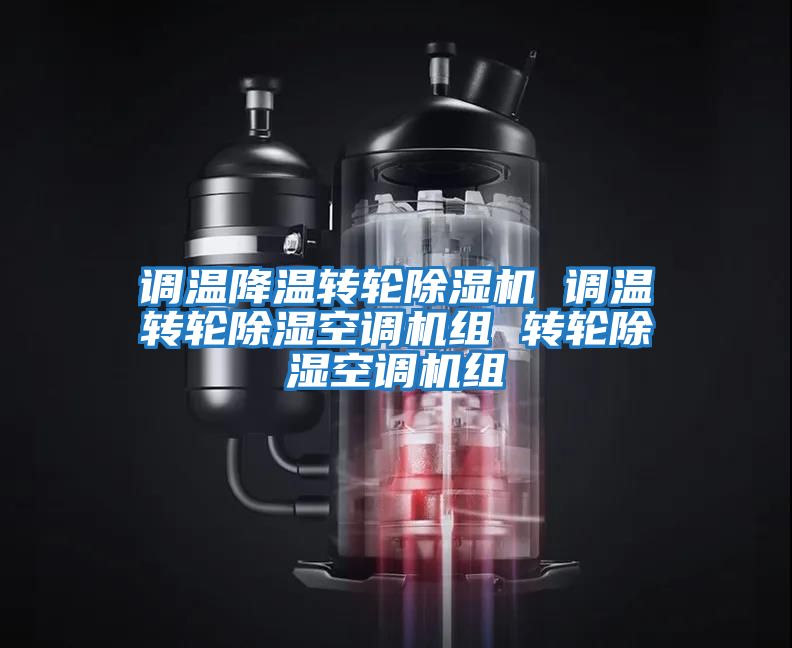 调温降温转轮除湿机 调温转轮除湿空调机组 转轮除湿空调机组