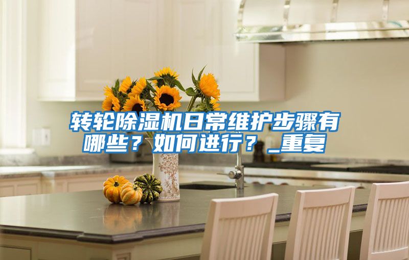 转轮除湿机日常维护步骤有哪些？如何进行？_重复