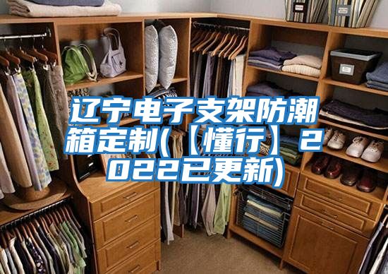 辽宁电子支架防潮箱定制(【懂行】2022已更新)