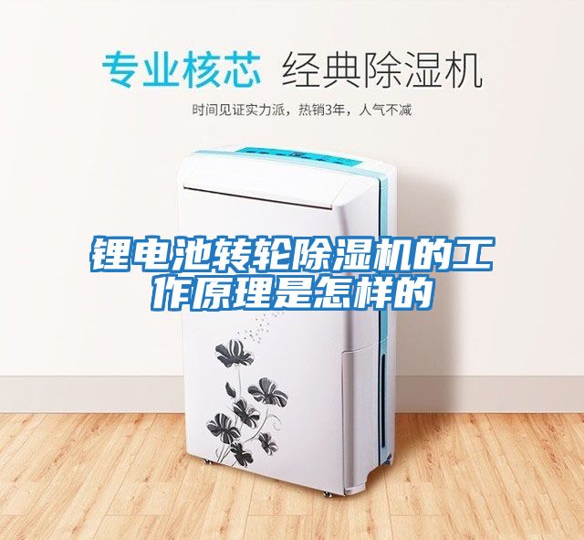 锂电池转轮除湿机的工作原理是怎样的