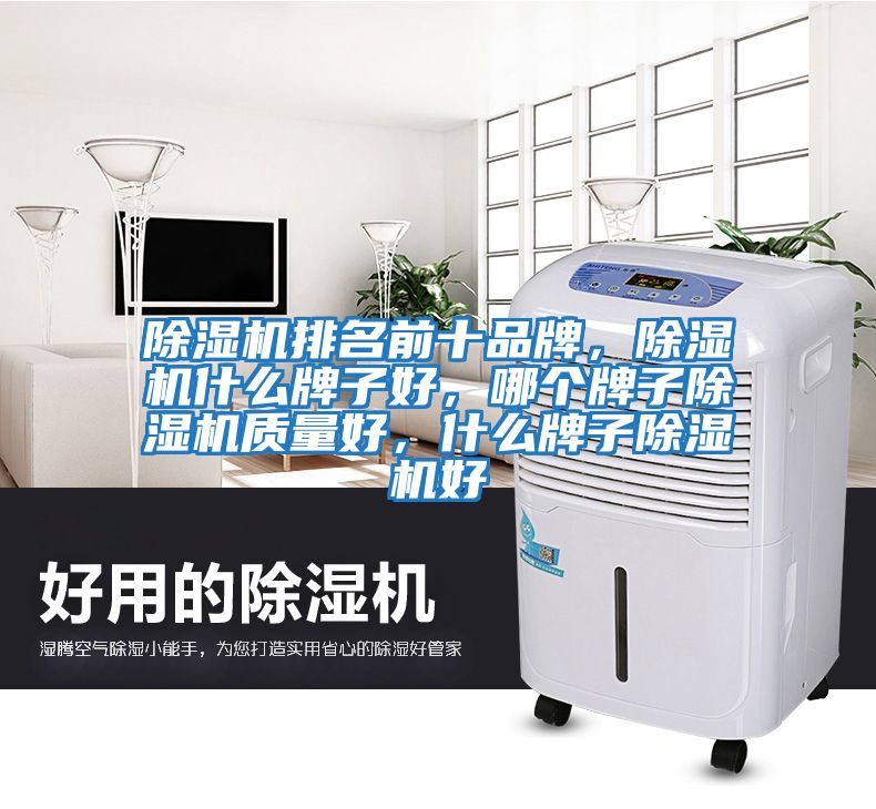 除湿机排名前十品牌，除湿机什么牌子好，哪个牌子除湿机质量好，什么牌子除湿机好