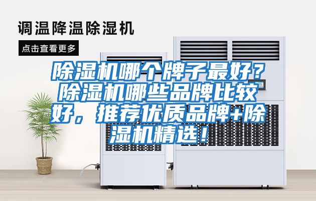 除湿机哪个牌子最好？除湿机哪些品牌比较好，推荐优质品牌+除湿机精选！