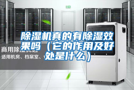 除湿机真的有除湿效果吗（它的作用及好处是什么）