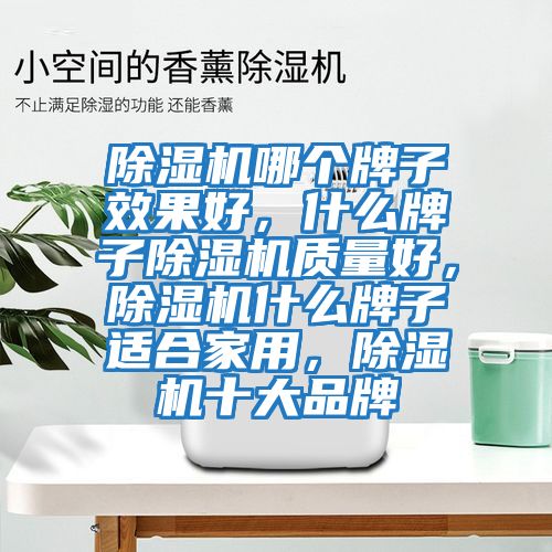 除湿机哪个牌子效果好，什么牌子除湿机质量好，除湿机什么牌子适合家用，除湿机十大品牌