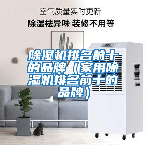 除湿机排名前十的品牌（家用除湿机排名前十的品牌）