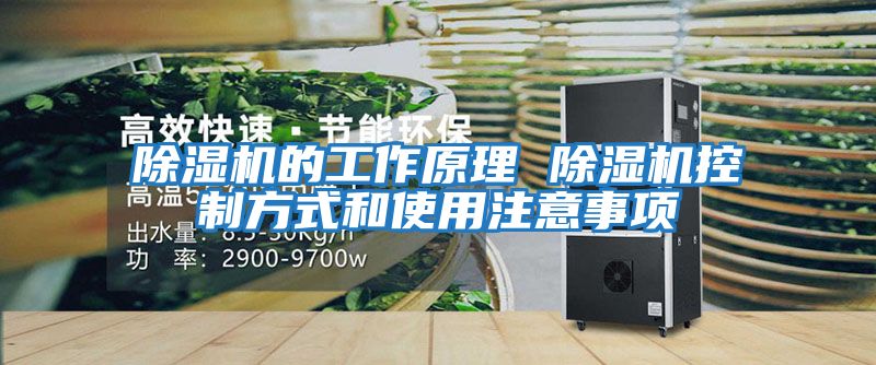 除湿机的工作原理 除湿机控制方式和使用注意事项