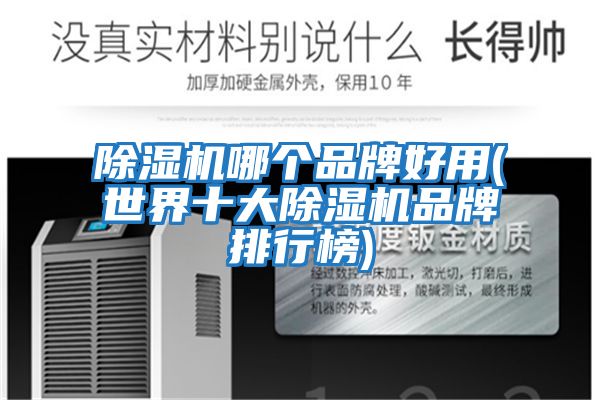 除湿机哪个品牌好用(世界十大除湿机品牌排行榜)