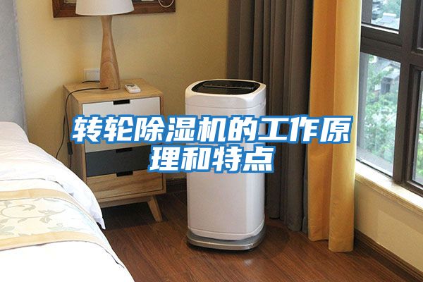转轮除湿机的工作原理和特点