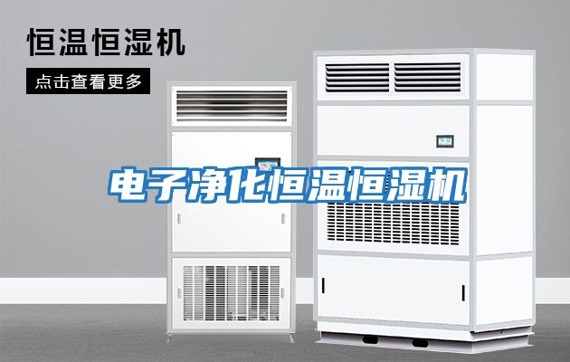 电子净化恒温恒湿机