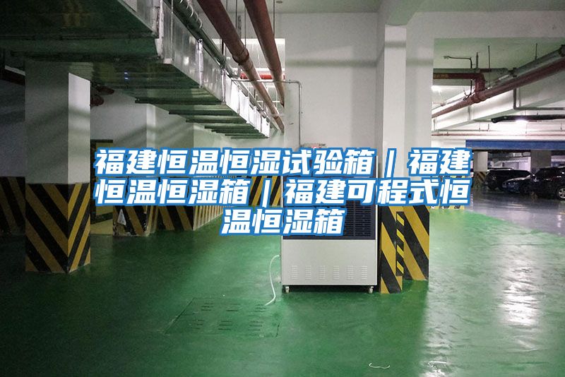 福建恒温恒湿试验箱｜福建恒温恒湿箱｜福建可程式恒温恒湿箱