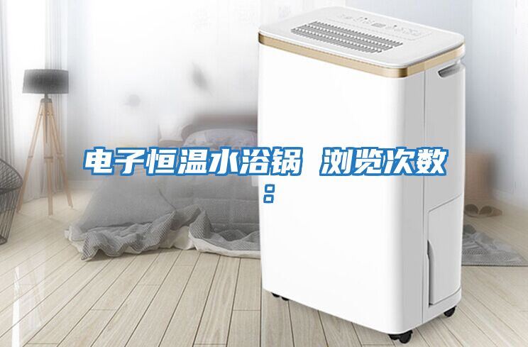 电子恒温水浴锅　　浏览次数：
