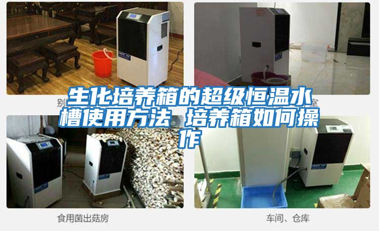 生化培养箱的超级恒温水槽使用方法 培养箱如何操作
