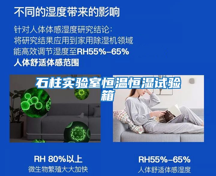 石柱实验室恒温恒湿试验箱