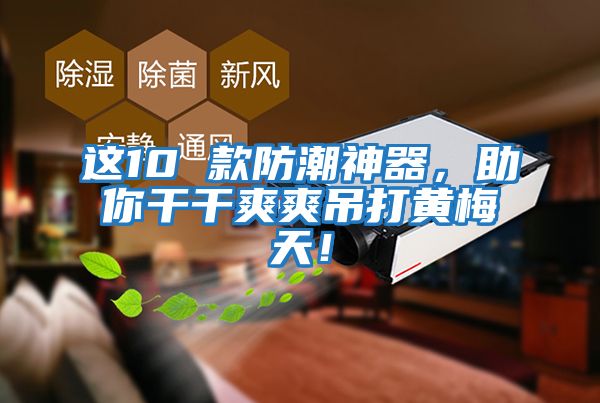 这10 款防潮神器，助你干干爽爽吊打黄梅天！