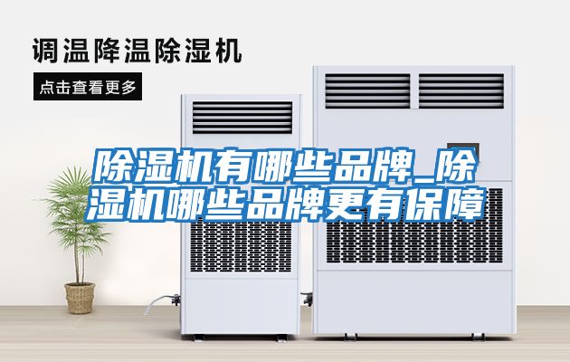 除湿机有哪些品牌_除湿机哪些品牌更有保障