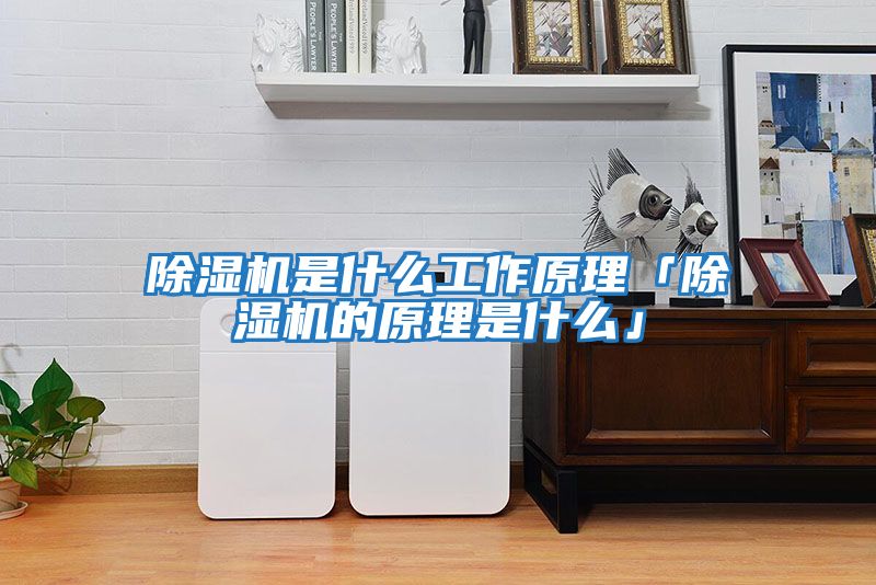 除湿机是什么工作原理「除湿机的原理是什么」