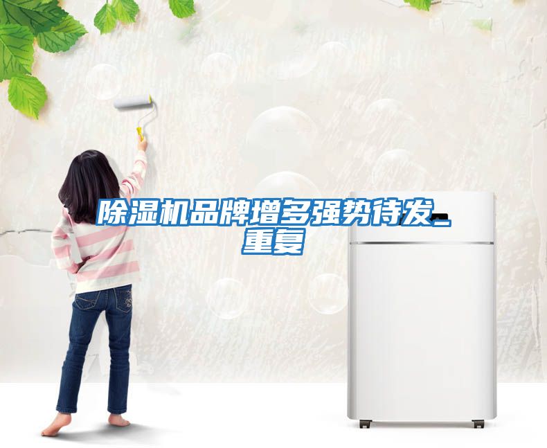 除湿机品牌增多强势待发_重复