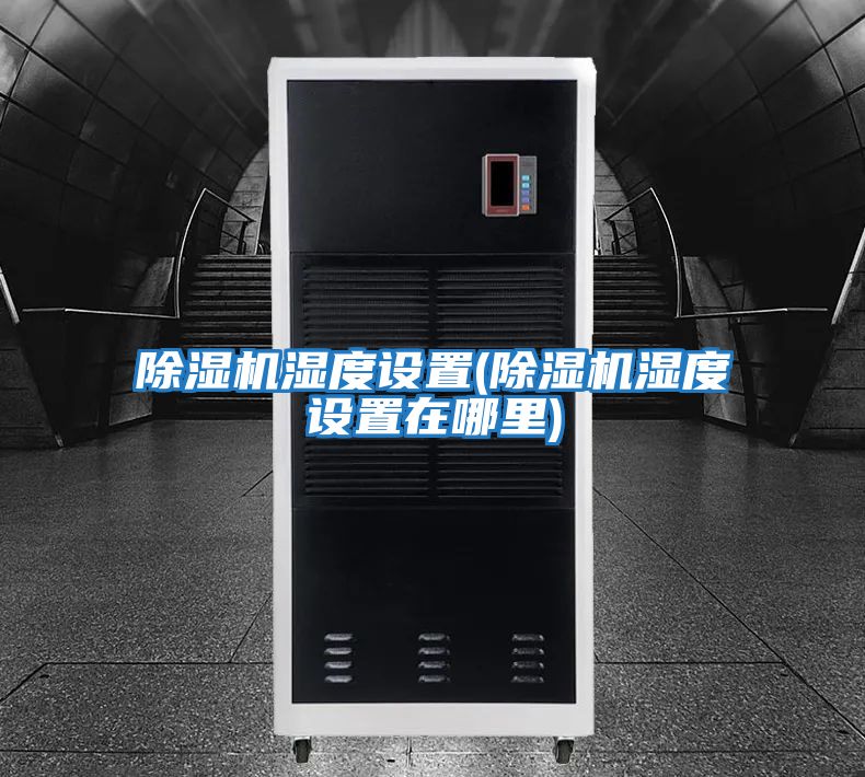 除湿机湿度设置(除湿机湿度设置在哪里)