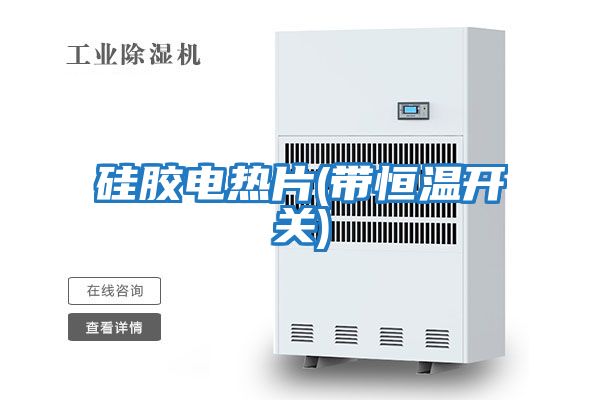 硅胶电热片(带恒温开关)