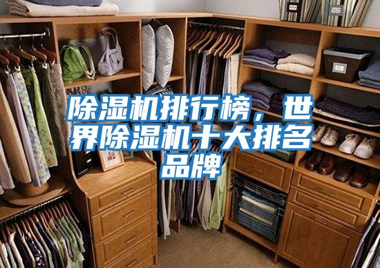 除湿机排行榜，世界除湿机十大排名品牌