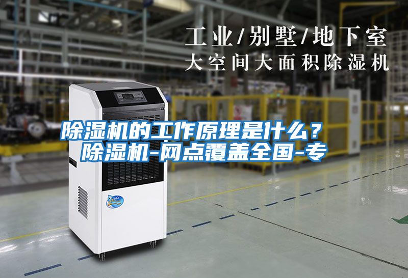 除湿机的工作原理是什么？ 除湿机-网点覆盖全国-专