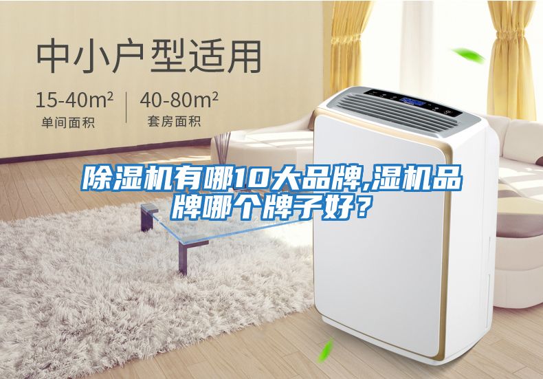 除湿机有哪10大品牌,湿机品牌哪个牌子好？