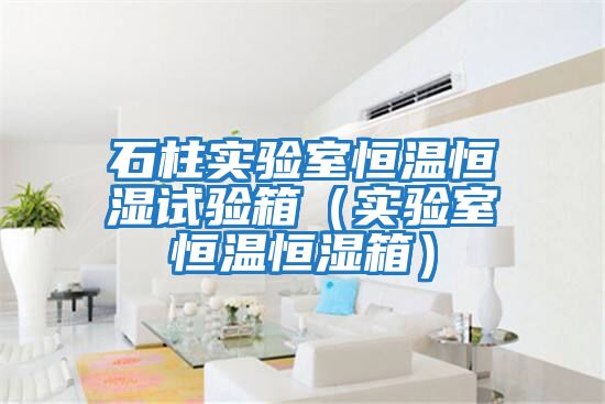 石柱实验室恒温恒湿试验箱（实验室恒温恒湿箱）