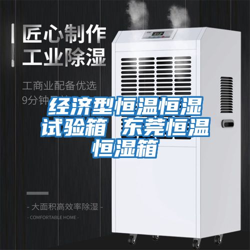 经济型恒温恒湿试验箱 东莞恒温恒湿箱