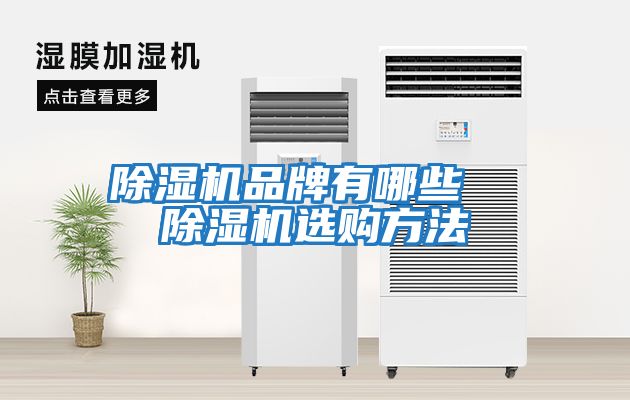 除湿机品牌有哪些  除湿机选购方法
