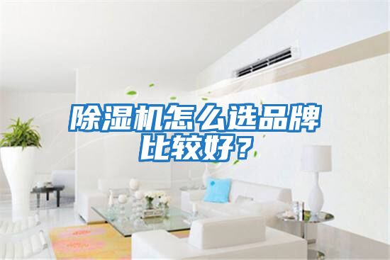 除湿机怎么选品牌比较好？
