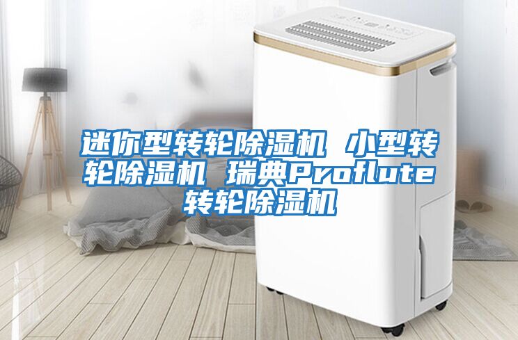 迷你型转轮除湿机 小型转轮除湿机 瑞典Proflute转轮除湿机