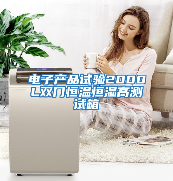 电子产品试验2000L双门恒温恒湿高测试箱