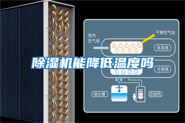 除湿机能降低温度吗