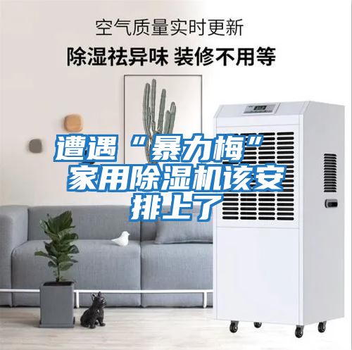 遭遇“暴力梅” 家用除湿机该安排上了