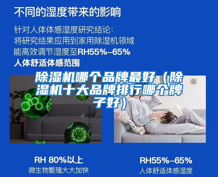 除湿机哪个品牌最好（除湿机十大品牌排行哪个牌子好）