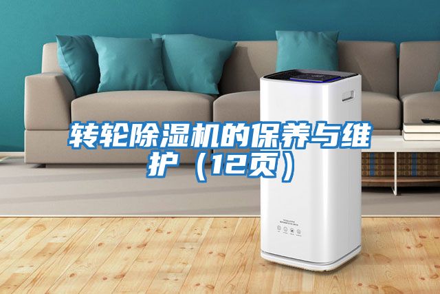 转轮除湿机的保养与维护（12页）