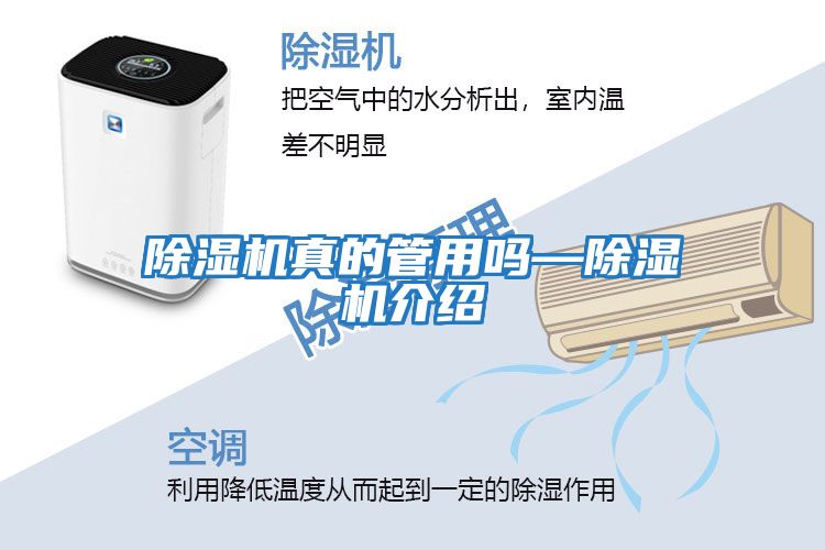除湿机真的管用吗—除湿机介绍