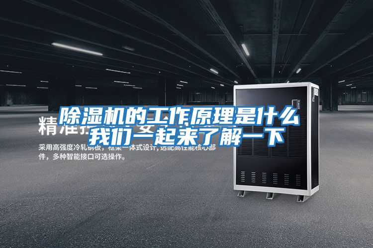 除湿机的工作原理是什么 我们一起来了解一下
