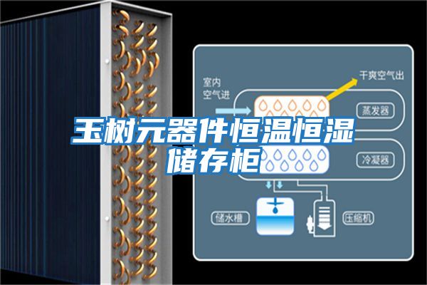 玉树元器件恒温恒湿储存柜