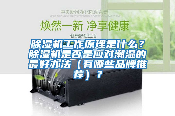 除湿机工作原理是什么？除湿机是否是应对潮湿的最好办法（有哪些品牌推荐）？