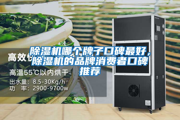 除湿机哪个牌子口碑最好，除湿机的品牌消费者口碑推荐