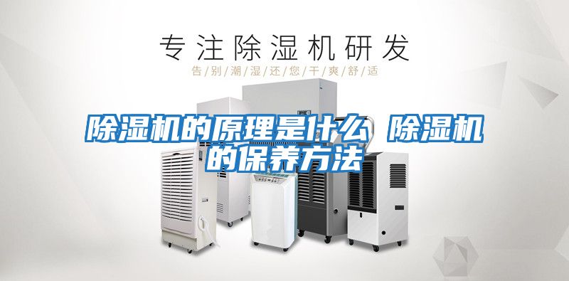 除湿机的原理是什么 除湿机的保养方法