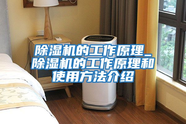 除湿机的工作原理_除湿机的工作原理和使用方法介绍