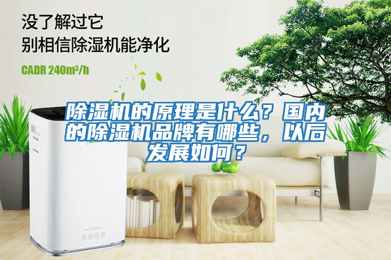 除湿机的原理是什么？国内的除湿机品牌有哪些，以后发展如何？