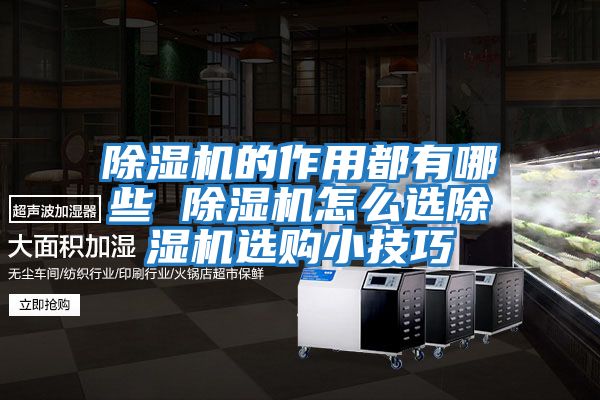除湿机的作用都有哪些 除湿机怎么选除湿机选购小技巧